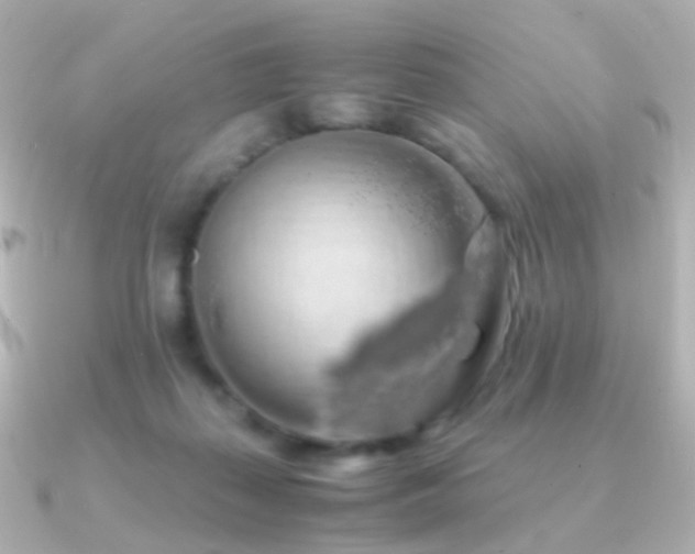 X0000091240267200708091440