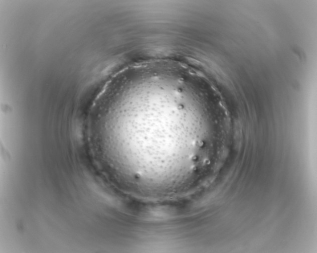 X0000091240268200708091440