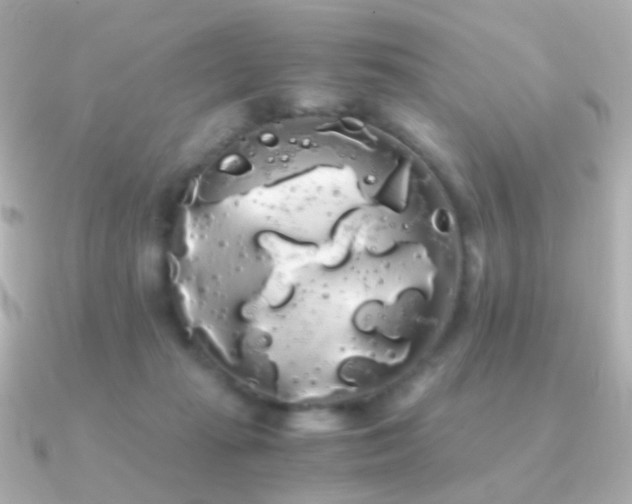 X0000091240269200708091441