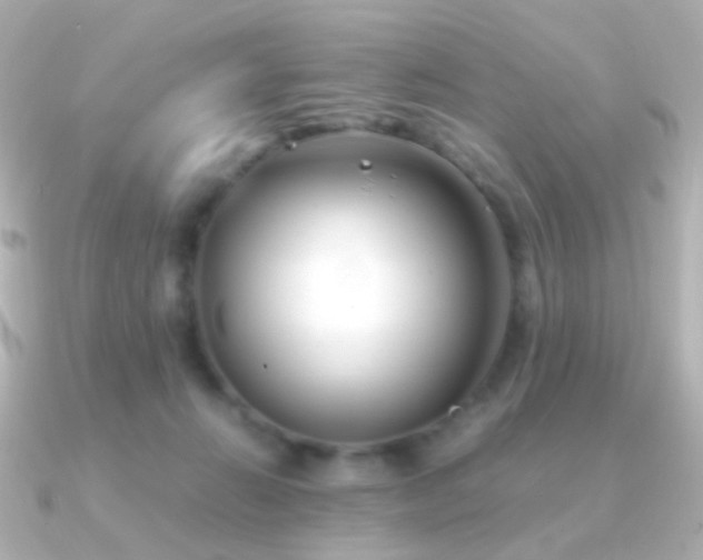 X0000091240270200708091441