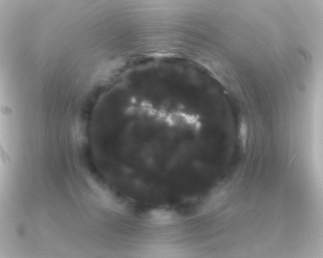 X0000091240272200708091441