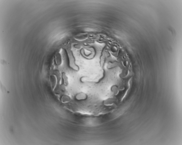 X0000091240273200708091441