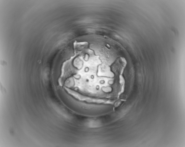X0000091240275200708091441