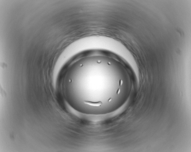 X0000091240276200708091441