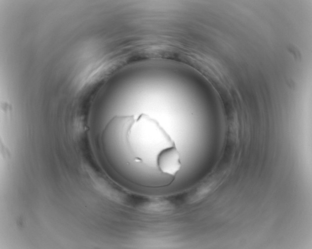 X0000091240278200708091441