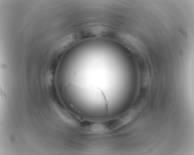X0000091240279200708091441