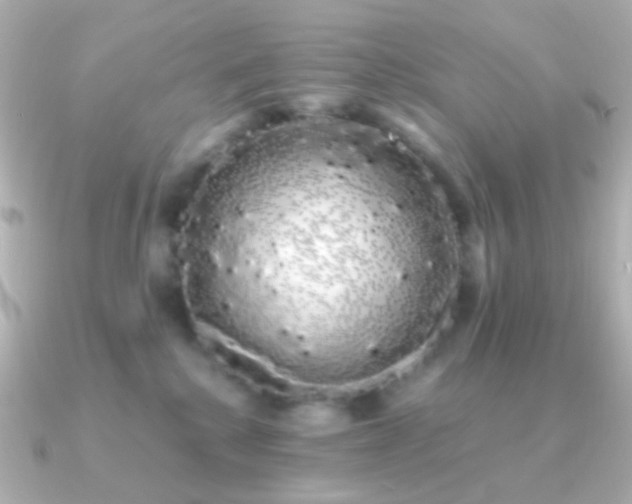 X0000091240280200708091441