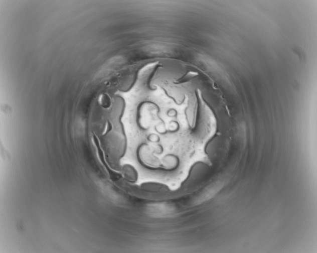 X0000091240281200708091441