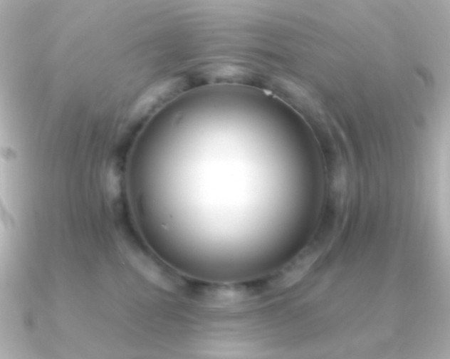 X0000091240282200708091441