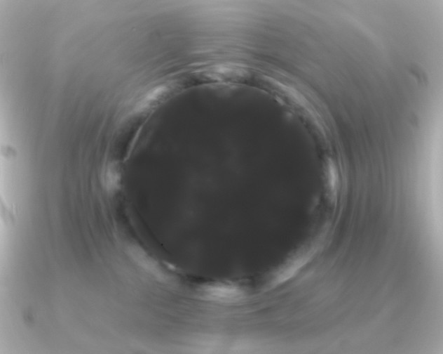 X0000091240284200708091441