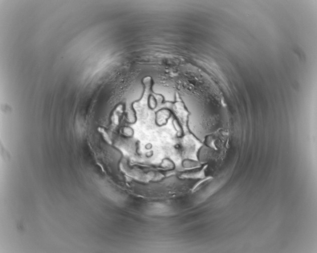 X0000091240285200708091441