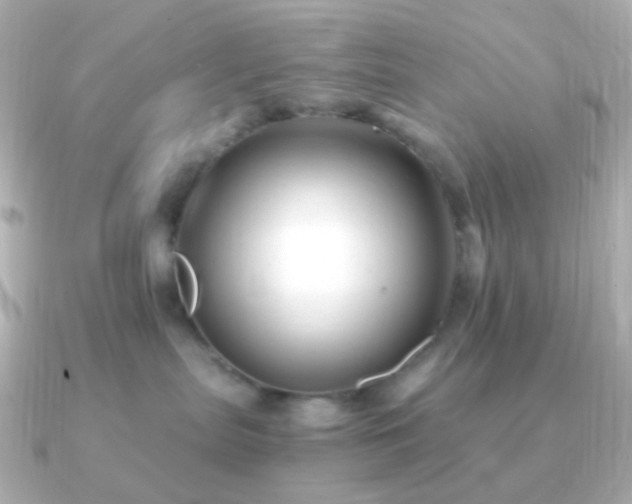 X0000091240287200708091441