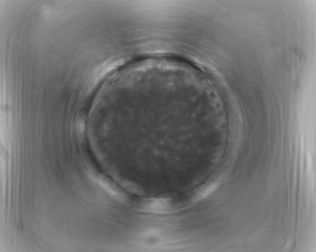 X0000091240288200708091441