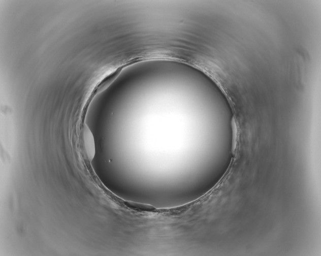 X0000091240289200708091440