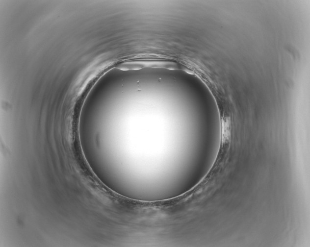 X0000091240291200708091440