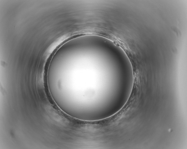X0000091240292200708091440