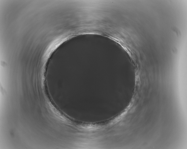X0000091240293200708091440