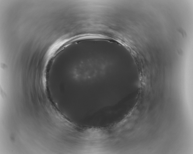 X0000091240294200708091440