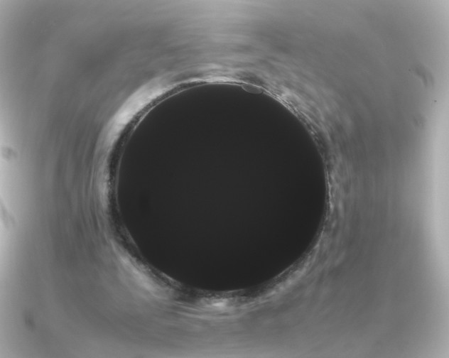 X0000091240295200708091440