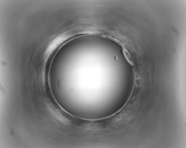 X0000091240296200708091440