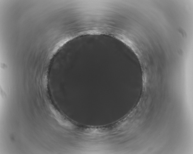 X0000091240297200708091440