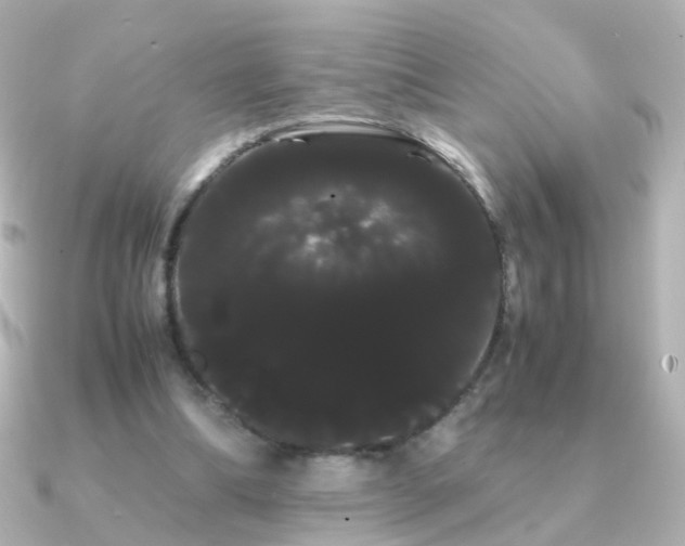 X0000091240298200708091440