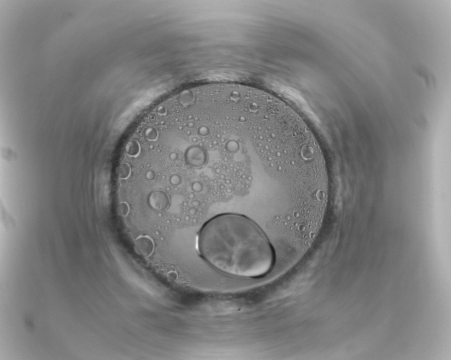 X0000091240299200708091440