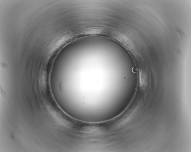 X0000091240300200708091440