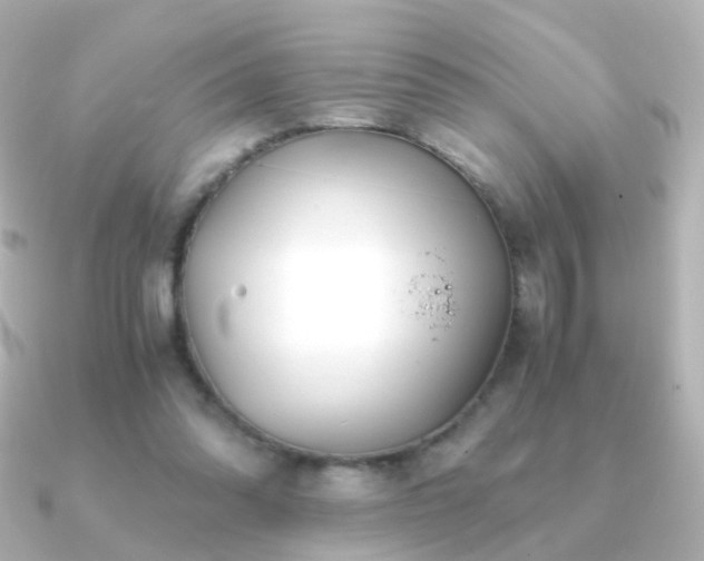 X0000091240302200708091440