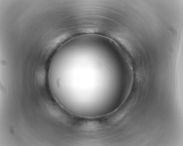 X0000091240304200708091440