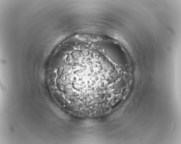 X0000091240305200708091440