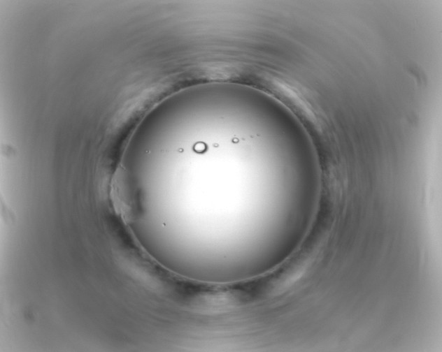 X0000091240307200708091440