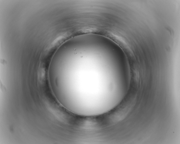 X0000091240308200708091440