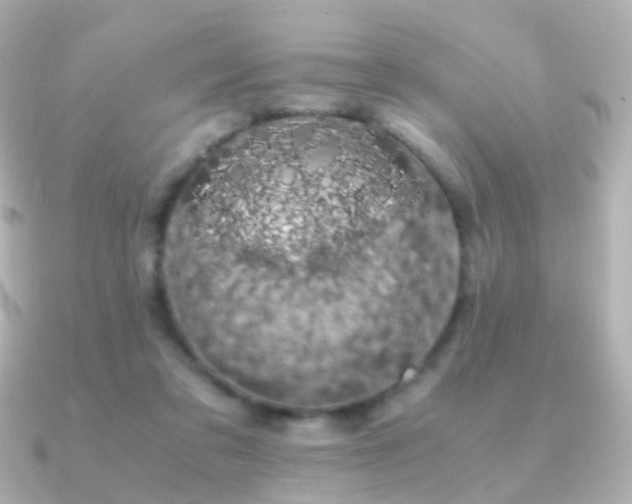 X0000091240309200708091440