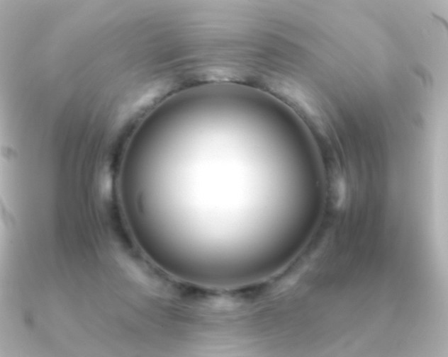 X0000091240310200708091440
