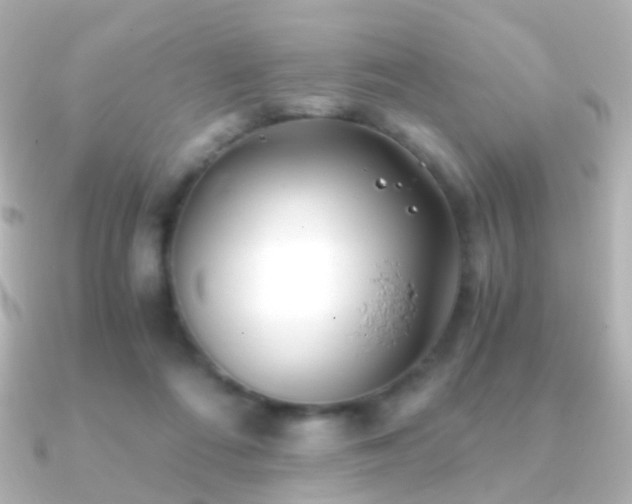 X0000091240312200708091440