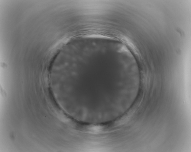 X0000091240313200708091440