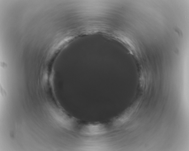 X0000091240314200708091440