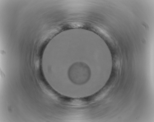 X0000091240315200708091440