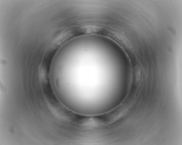 X0000091240316200708091440