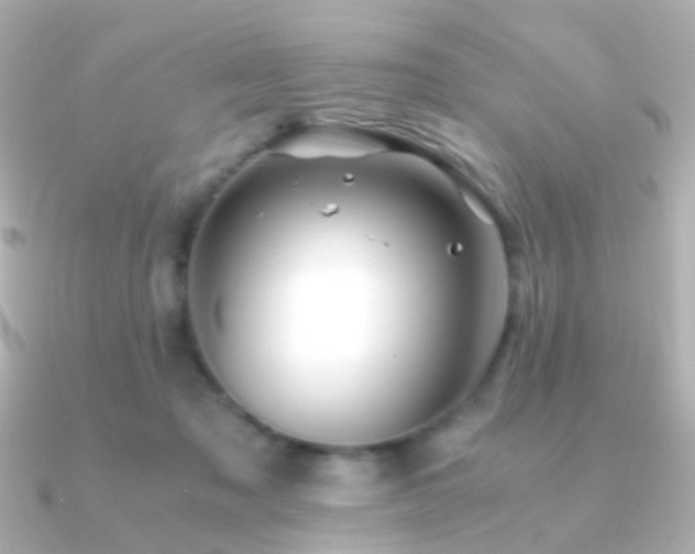 X0000091240317200708091440