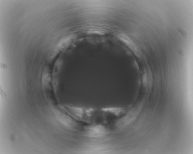 X0000091240322200708091440
