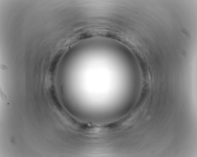 X0000091240323200708091440
