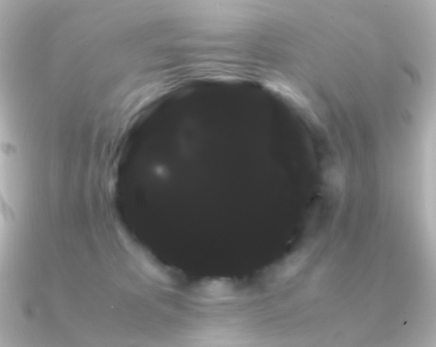 X0000091240325200708091440
