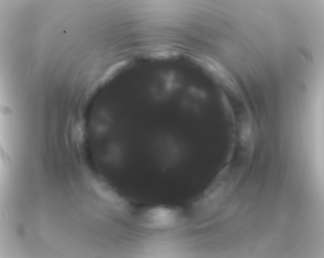 X0000091240326200708091440