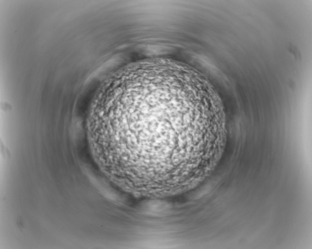 X0000091240327200708091440