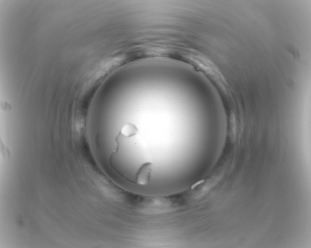 X0000091240329200708091440