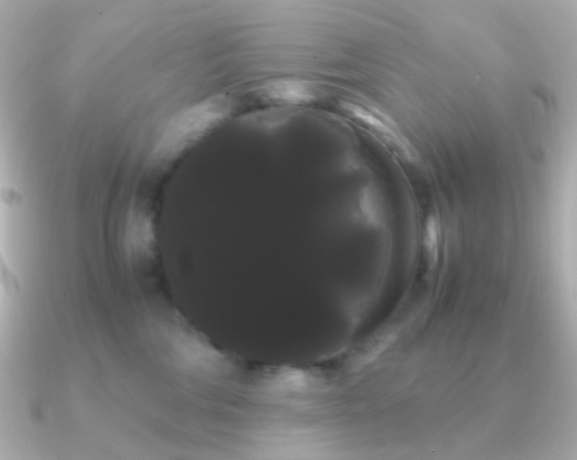 X0000091240330200708091440