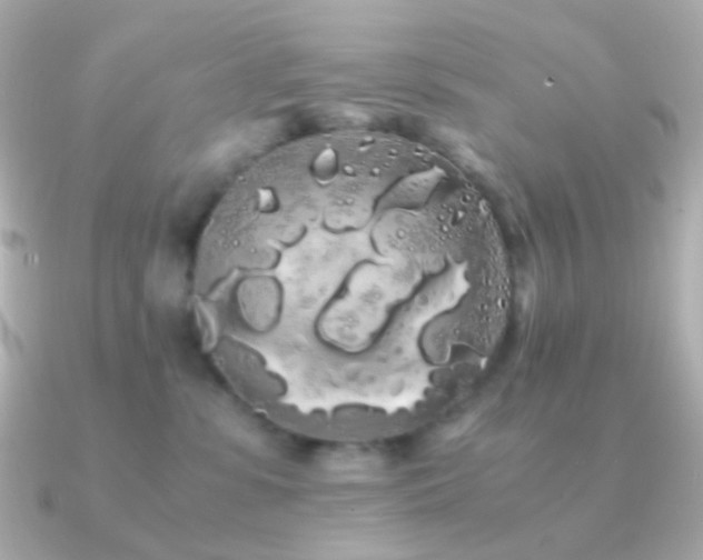 X0000091240331200708091440