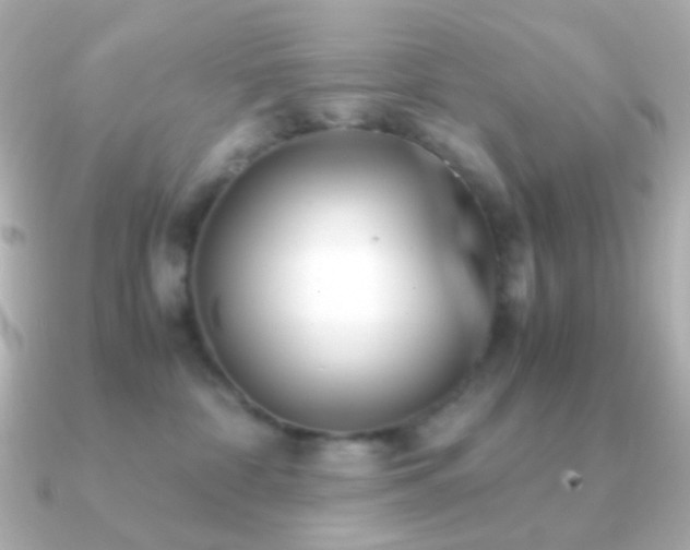 X0000091240332200708091440